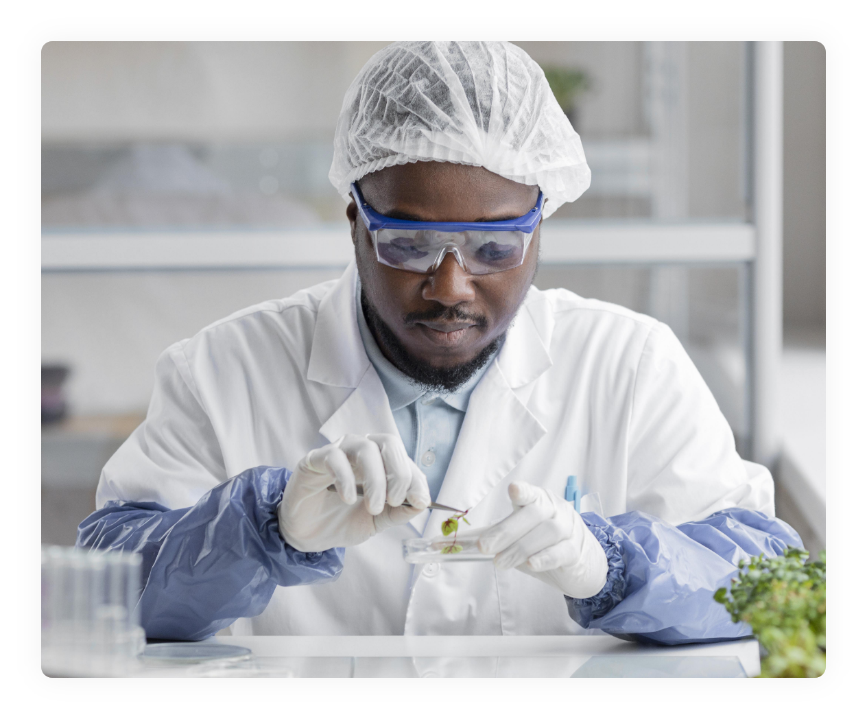 male-researcher-biotechnology-laboratory-with-petri-dish
